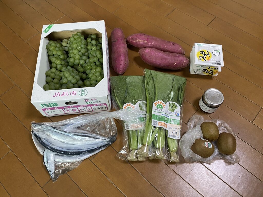 9月25日の買い物