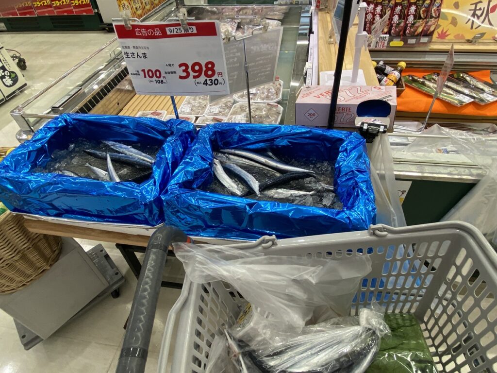 今が旬で大漁のサンマ