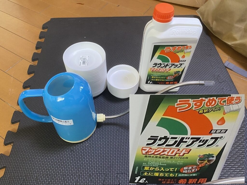 6月10日の買い物