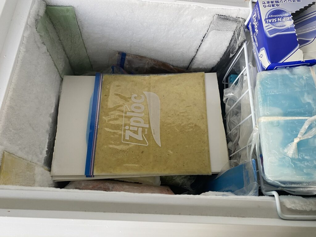 冷凍庫と生姜